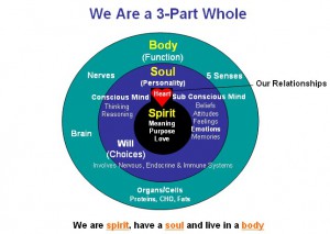 spirit-soul-body-mind-emotions-will